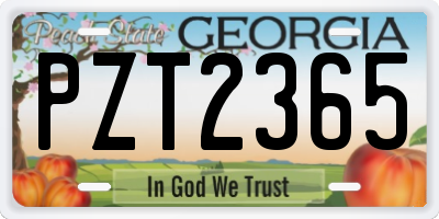 GA license plate PZT2365