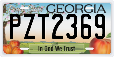GA license plate PZT2369