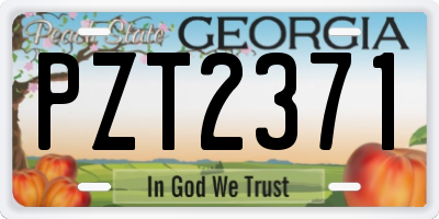 GA license plate PZT2371