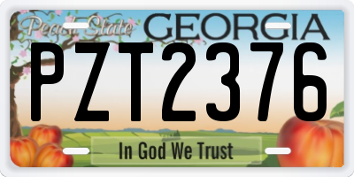 GA license plate PZT2376