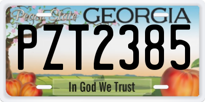 GA license plate PZT2385