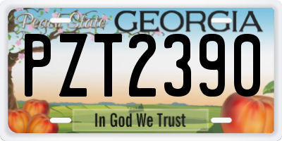 GA license plate PZT2390