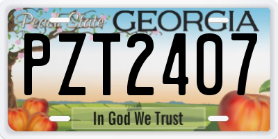 GA license plate PZT2407