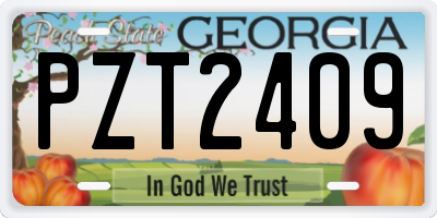 GA license plate PZT2409