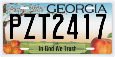 GA license plate PZT2417