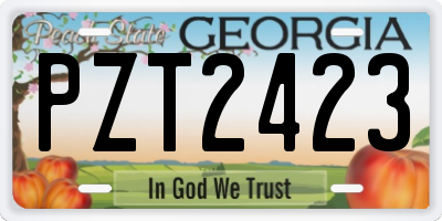 GA license plate PZT2423
