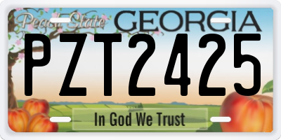 GA license plate PZT2425