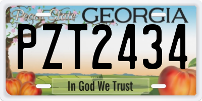 GA license plate PZT2434