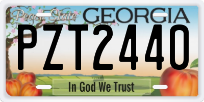 GA license plate PZT2440