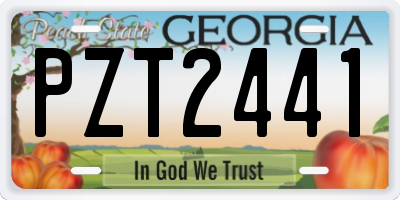 GA license plate PZT2441