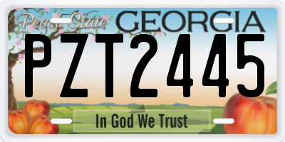 GA license plate PZT2445