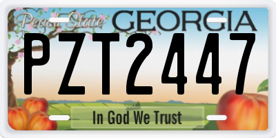 GA license plate PZT2447