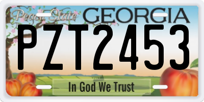 GA license plate PZT2453