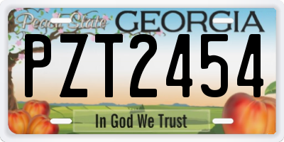 GA license plate PZT2454