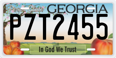GA license plate PZT2455