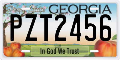 GA license plate PZT2456