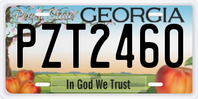 GA license plate PZT2460