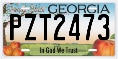 GA license plate PZT2473