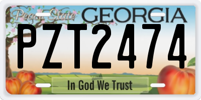 GA license plate PZT2474