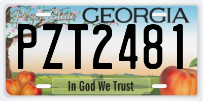 GA license plate PZT2481