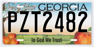 GA license plate PZT2482