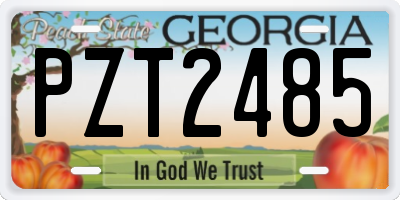 GA license plate PZT2485