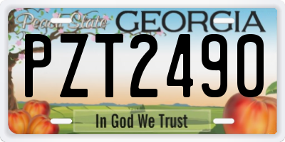 GA license plate PZT2490