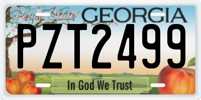 GA license plate PZT2499