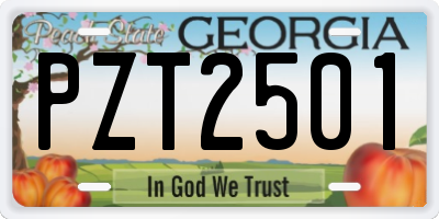 GA license plate PZT2501