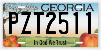 GA license plate PZT2511