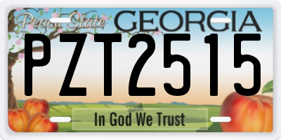 GA license plate PZT2515