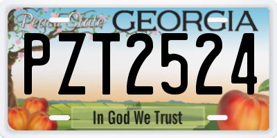 GA license plate PZT2524