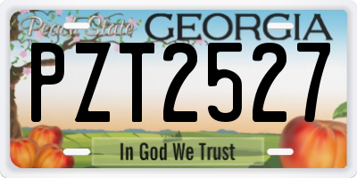 GA license plate PZT2527