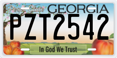 GA license plate PZT2542