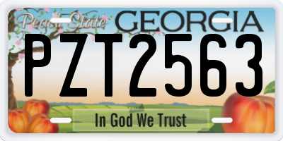 GA license plate PZT2563