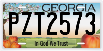 GA license plate PZT2573