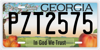 GA license plate PZT2575
