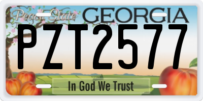 GA license plate PZT2577