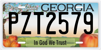 GA license plate PZT2579