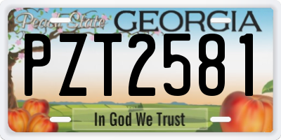 GA license plate PZT2581