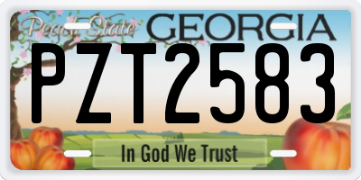 GA license plate PZT2583