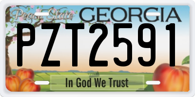 GA license plate PZT2591