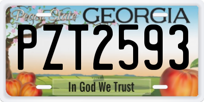 GA license plate PZT2593