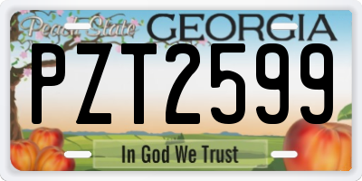 GA license plate PZT2599