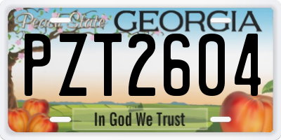 GA license plate PZT2604