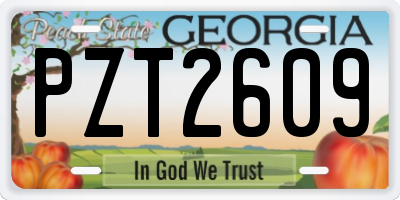 GA license plate PZT2609