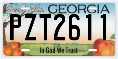GA license plate PZT2611