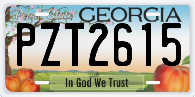 GA license plate PZT2615