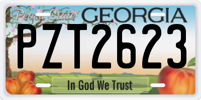 GA license plate PZT2623