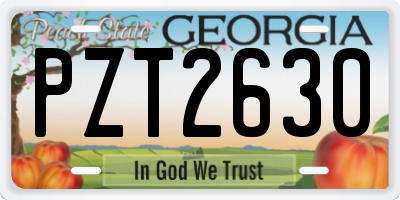 GA license plate PZT2630